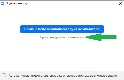 В появившемся окне выберите опцию микрофон